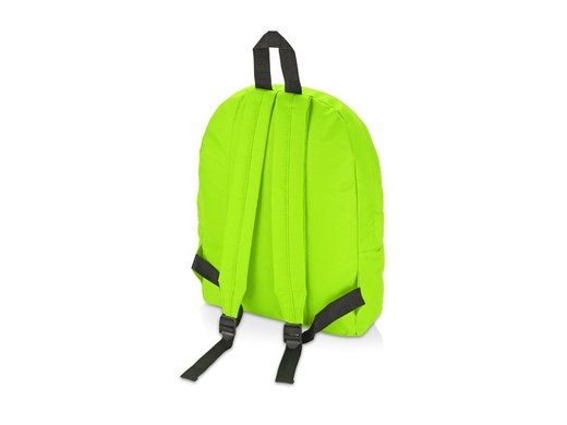 Рюкзак "Спектр", зеленое яблоко , арт. 956003 - купить в 4kraski.ru