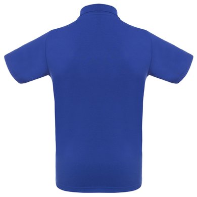 Рубашка поло Virma Light, ярко-синяя (royal) , арт. 2024.44 - купить в 4kraski.ru