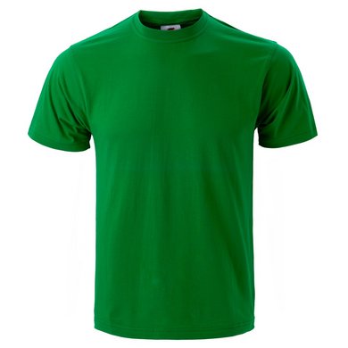 Футболка мужская Trisar 160, зеленая, арт. 100.36